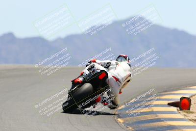 media/May-14-2022-SoCal Trackdays (Sat) [[7b6169074d]]/Turn 12 Backside (1135am)/